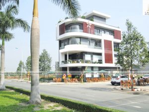 Thi công trọn gói nhà phố kết hợp quán cafe